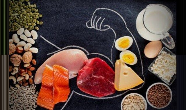 NUTRITION IN BODYBUILDING NUTRITION IN BODYBUILDING