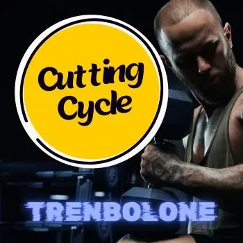 Trenbolone Cycle for Cutting: Burn Fat and Maintain Muscle