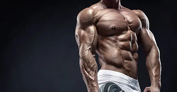 Learn How Anabolic Steroids Work