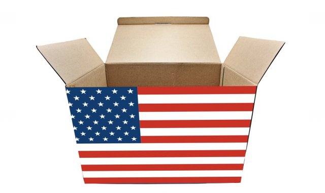 USA DOMESTIC LINE