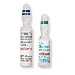 Organon Ilaclari, Turkey HCG Pregnyl 1500iu