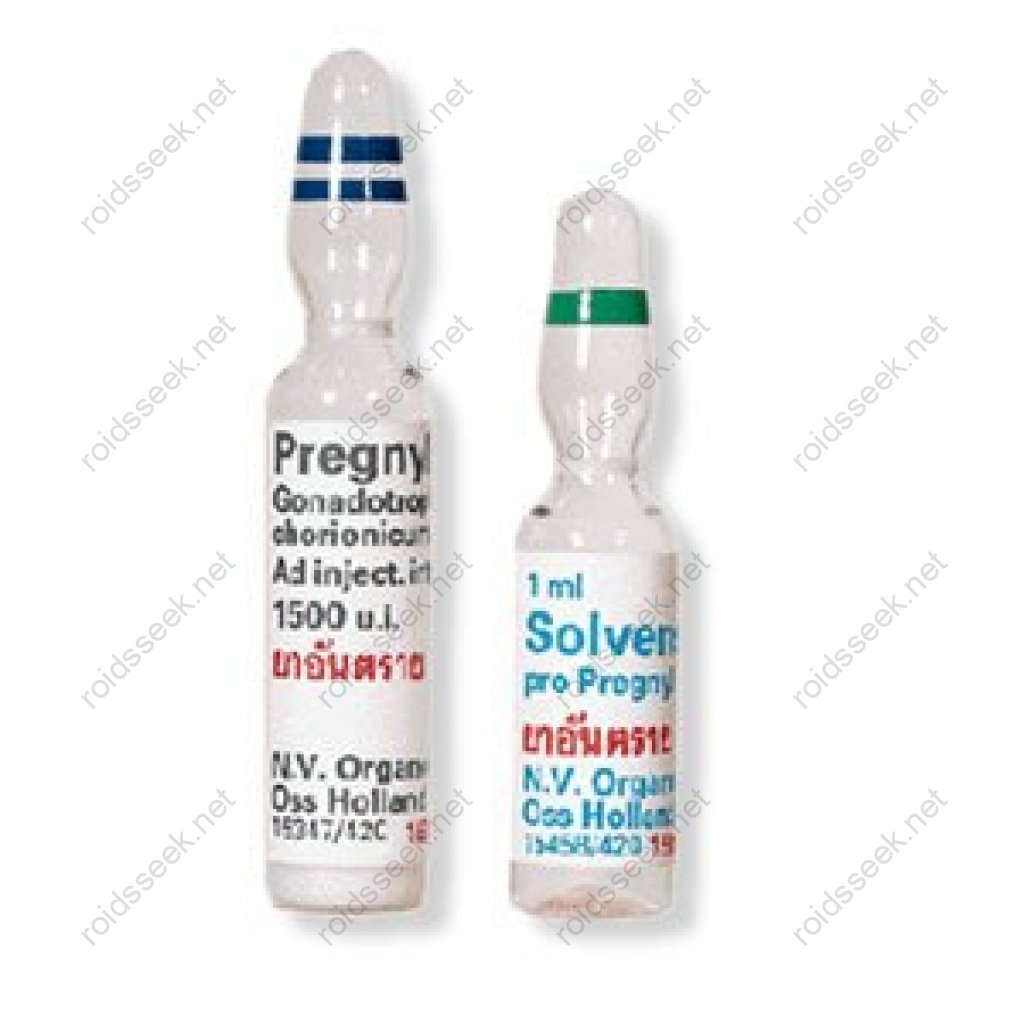 Organon Ilaclari, Turkey HCG Pregnyl 1500iu Organon Ilaclari, Turkey HCG Pregnyl 1500iu