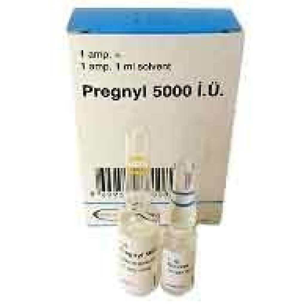 Organon Ilaclari, Turkey HCG Pregnyl 5000iu Organon Ilaclari, Turkey HCG Pregnyl 5000iu
