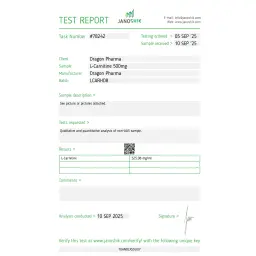 Dragon Pharma, Europe L-Carnitine 500