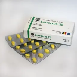 Hilma Biocare Letrozole 25 (Hilma)