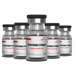 Singani Pharma Testosterone Cypionate