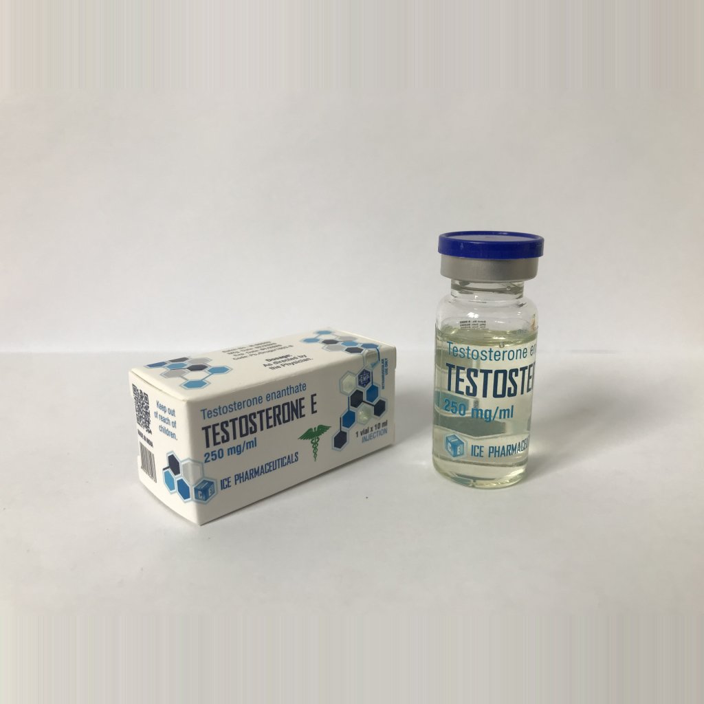 Ice Pharmaceuticals Testosterone E 10ml Ice Pharmaceuticals Testosterone E 10ml