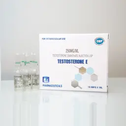 Ice Pharmaceuticals Testosterone E