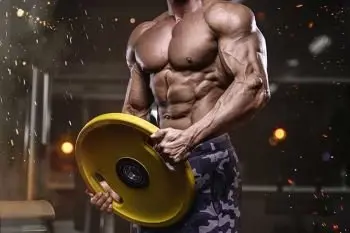 Prohormone Cycle